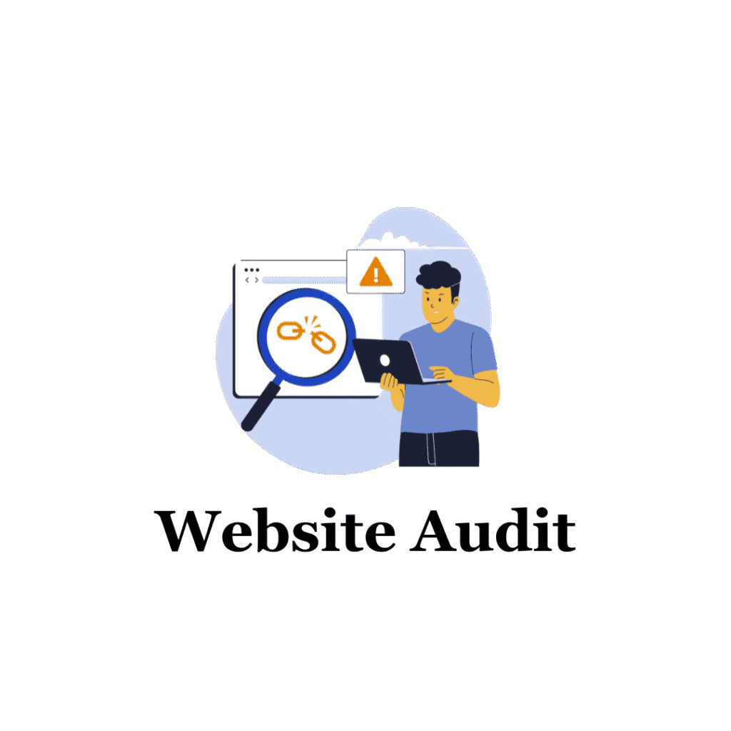 website Audit