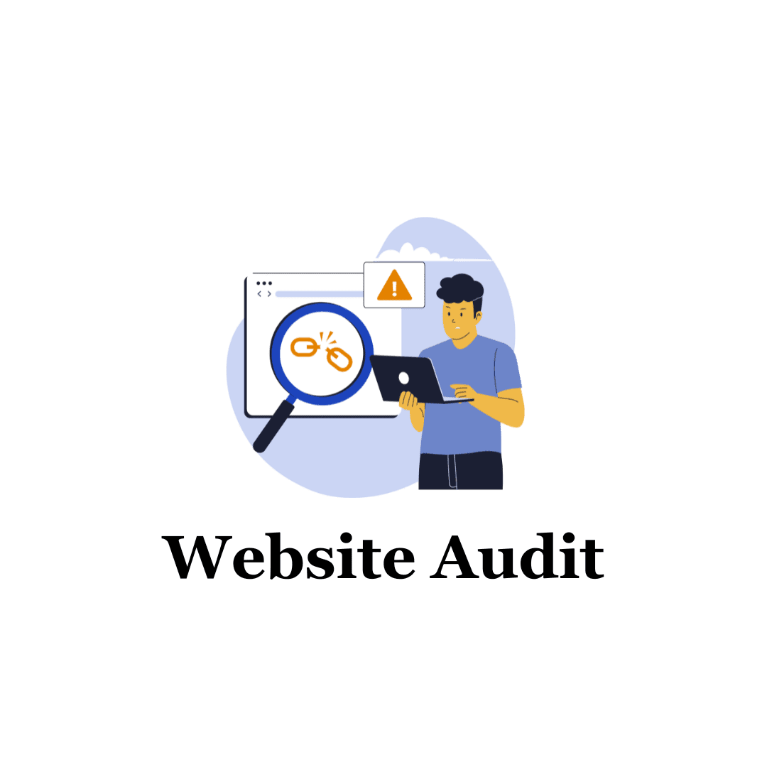 Website Audit